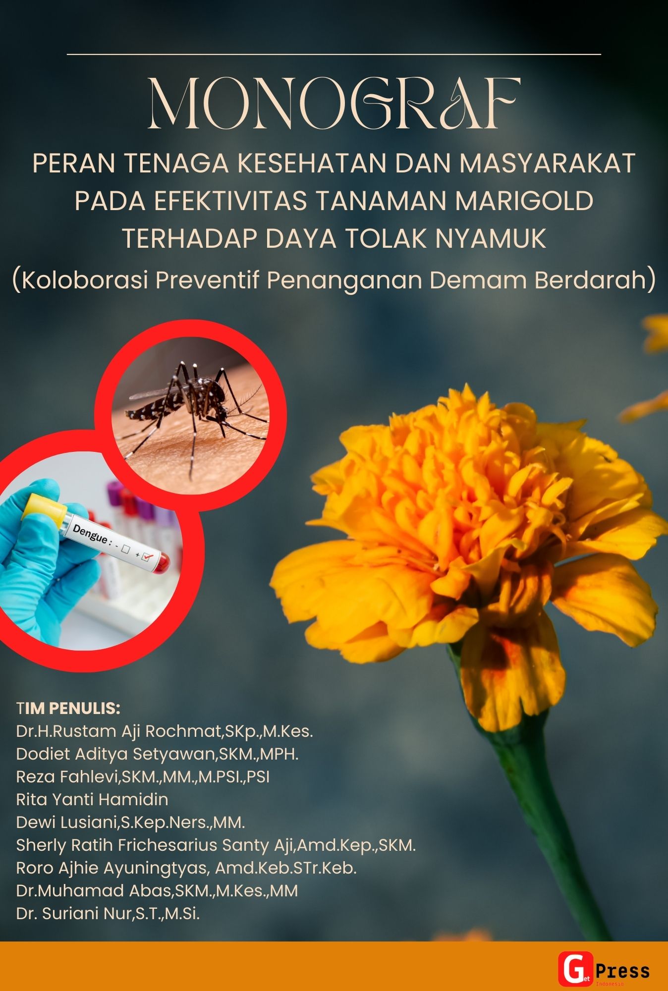 Monograf  Peran Tenaga Kesehatan Dan Masyarakat Pada Efektivitas Tanaman Marigold Terhadap Daya Tolak Nyamuk  (Koloborasi Preventif Penanganan Demam Berdarah)